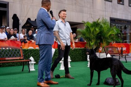 Celebrity dog trainer Tom Davis shares training tips for pet parents