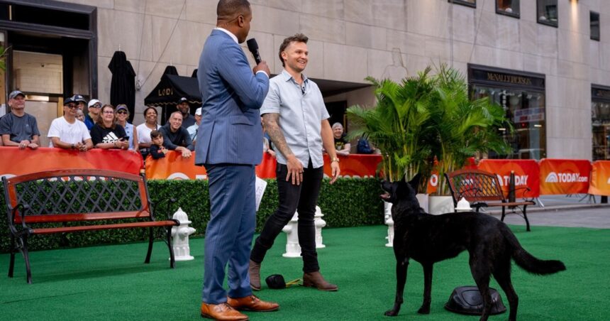 Celebrity dog trainer Tom Davis shares training tips for pet parents