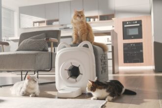 PawSwing Purrring Automatic Cat Self-Groomer ensures comfort