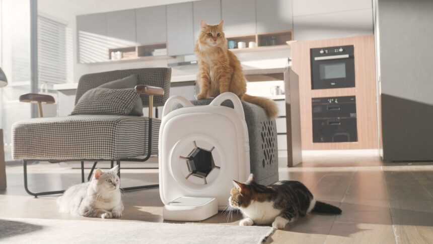 PawSwing Purrring Automatic Cat Self-Groomer ensures comfort