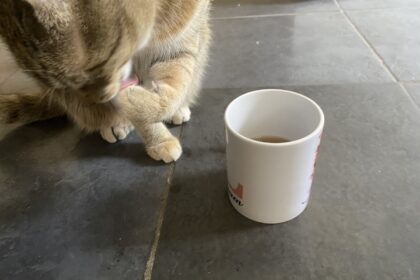 Tiller loves a cuppa.