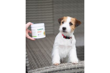 YuMOVE's Expert Tips for Pet Health and Dog Health with High-Quality Dog Joint Supplements