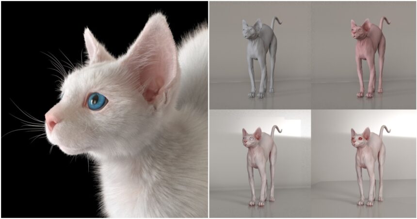 Grooming Fur For a Realistic Cat Model in XGen