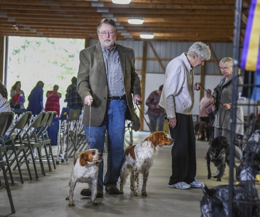 Paul Bunyan Dog Training Association set hold 13th annual dog show