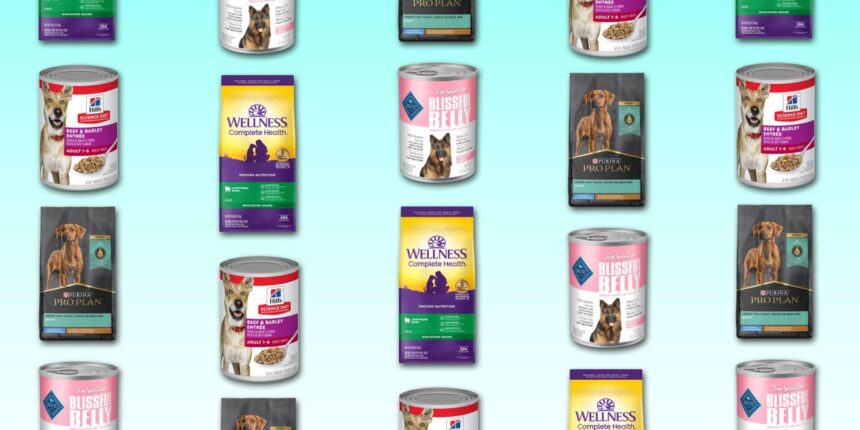 How to Choose the Best Dog Food in 2024, According to Veterinarian