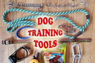 Dog Training Equipment Market