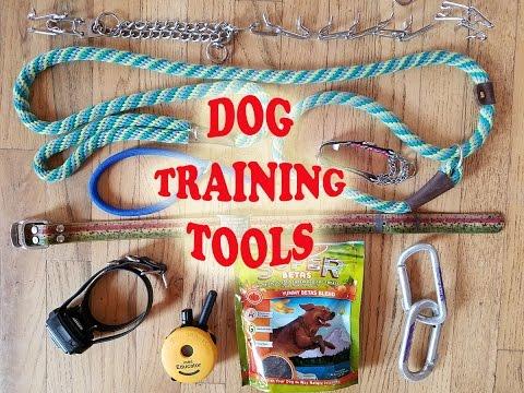 Dog Training Equipment Market