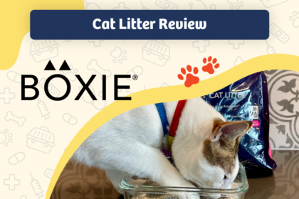 boxiecat cat litter