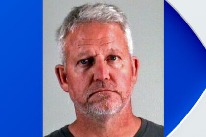 Arlington dog trainer pleads guilty to animal cruelty, avoids jail after the deaths of 3 dogs