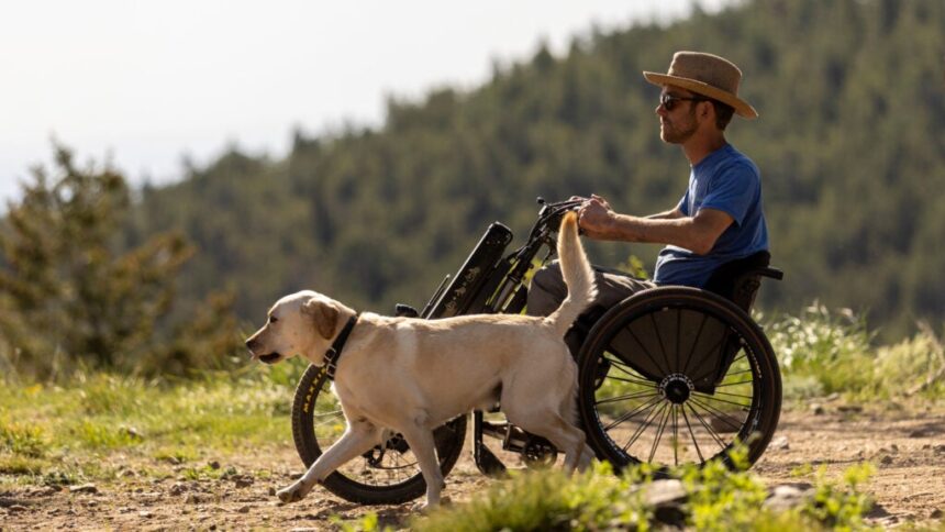 Life Lessons from a Dog: A Lesson in Patience