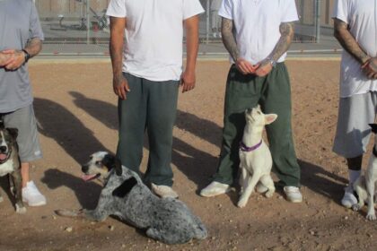 Inmates Training Hard-to-Adopt Dogs in New Mexico Creates Joy On Both Ends of a Leash