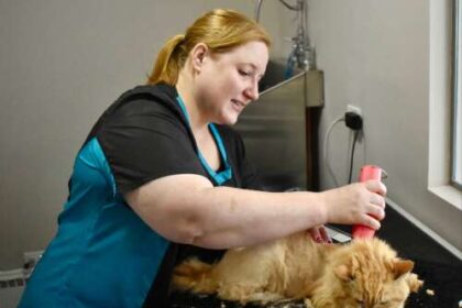 Happy Cat Grooming opens doors in Westmont