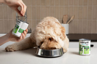 Scratching the itch for allergy-friendly pet foods