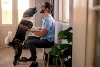 Dog jumping up on smiling man who's sat down