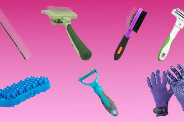 The 7 Best Cat Brushes of 2024, Tested and Reviewed