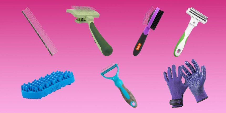 The 7 Best Cat Brushes of 2024, Tested and Reviewed