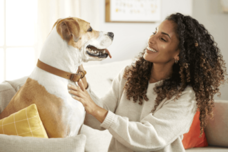 Lifestyle expert shares best ways to keep pets healthy and happy this fall