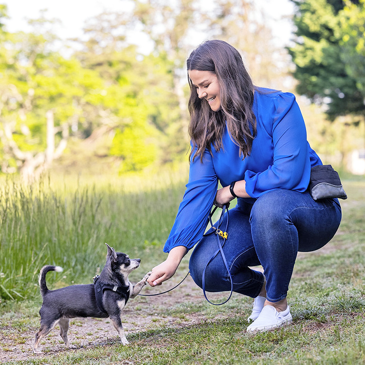 10 Best Dog-Training Instagram Accounts to Follow Now · Kinship