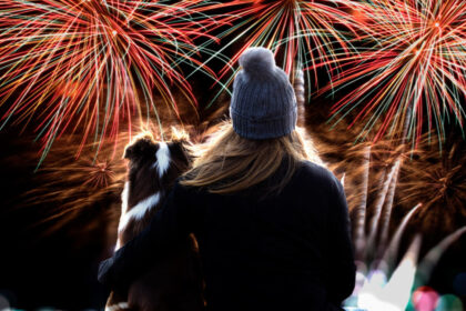 How to keep your dog or cat safe during bonfire night, according to experts