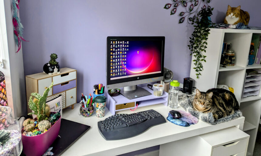 Home Office Complete With Cats