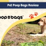 The Original Poop Bags Review - featured image