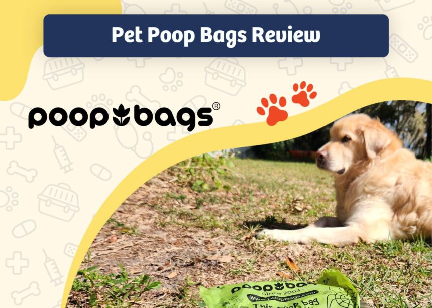 The Original Poop Bags Review - featured image