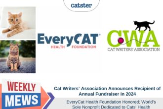 Weekly Mews - EveryCat Health Foundation Honored CWA 2024 fundraiser recipient