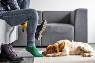 PDQs Are Why Your Dog Gets So Stressed When You’re About to Leave the House · Kinship