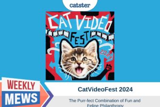 Catster_Weekly Mews CatVideoFest2024.psd