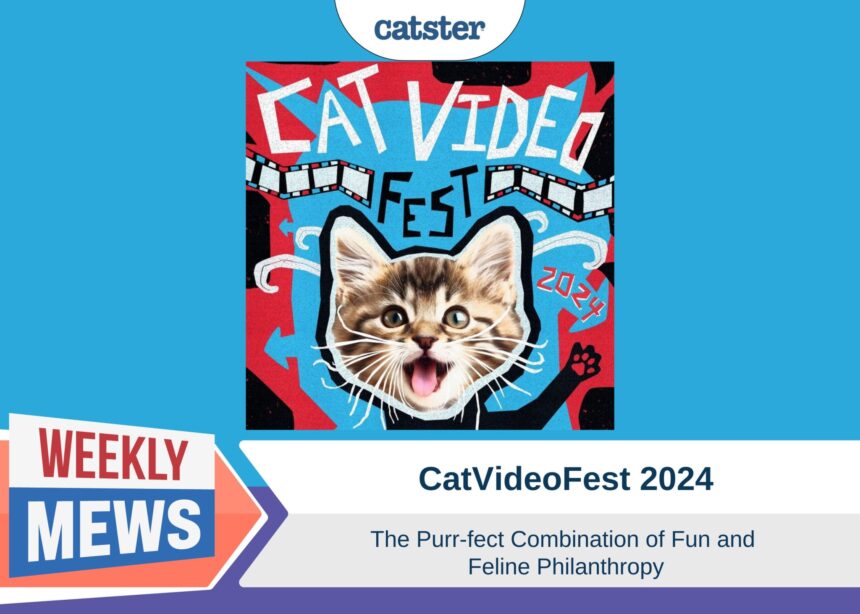 Catster_Weekly Mews CatVideoFest2024.psd