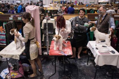 Crufts dog show at the National Exhibition Centre in Birmingham