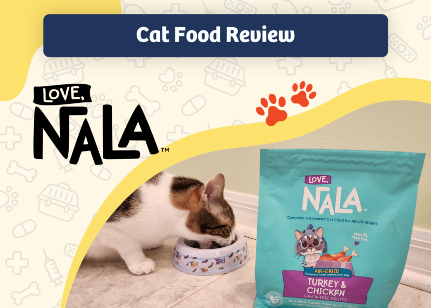 Love, Nala Cat Food & Product Review 2024: One Kitty Caregiver’s Honest Assessment