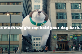 IAMS raises awareness of overweight dogs