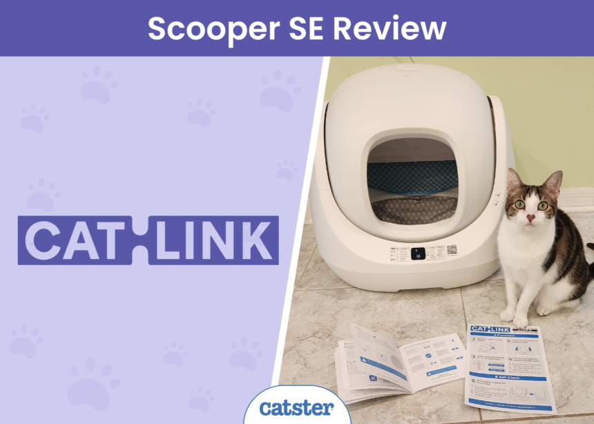 Catlink Scooper SE Review - featured image