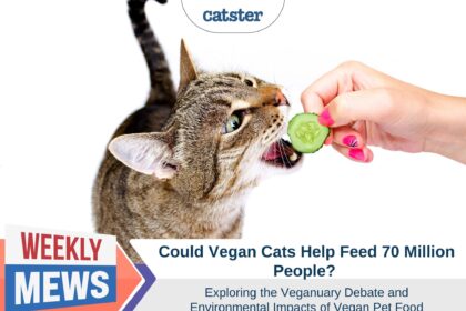 Could Vegan Cats Help Feed 70 Million People? Exploring the Veganuary Debate