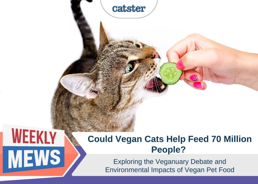 Could Vegan Cats Help Feed 70 Million People? Exploring the Veganuary Debate