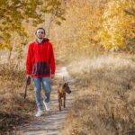 Handsome owner in casual clothes holding a leash while staying with his dog