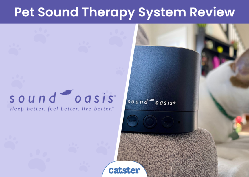 BST-80-20P Pet Sound Therapy System Review - featured image