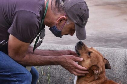 SPCA Albrecht Center offers tips for adopting a dog