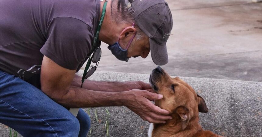 SPCA Albrecht Center offers tips for adopting a dog