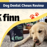 Finn Plaque Patrol Review - featured image