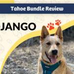 DJANGO Tahoe Bundle Review - featured image