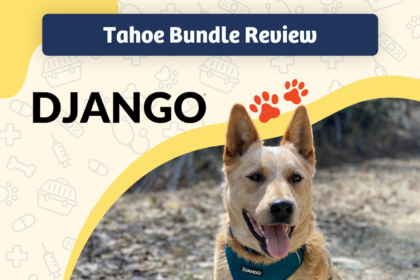 DJANGO Tahoe Bundle Review - featured image