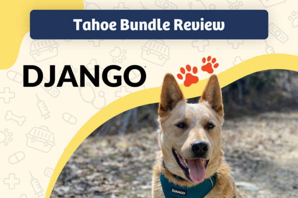 DJANGO Tahoe Bundle Review - featured image
