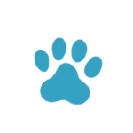 Divider_General_Pet_Paw