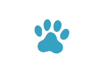 Divider_General_Pet_Paw